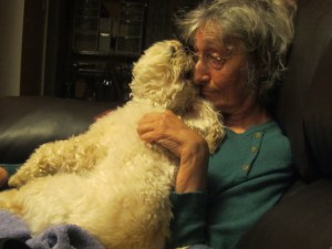 Cricket, reading Grandma's mind.