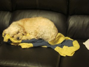 Don't be fooled. Cricket can hear everything!