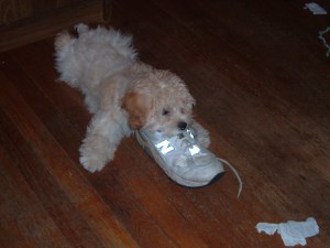 "You don't mind if I chew on this lovely snack, right?"