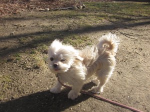 I wonder what she's thinking.