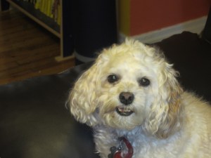 "I understand everything you say. I just disagree."