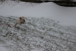 Because Cricket is coming after her!