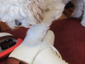 But, then, Cricket is pretty dangerous herself.