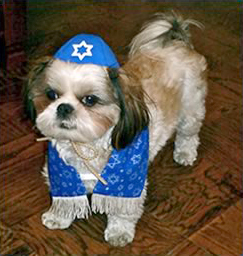 Butterfly wants this outfit in pink.