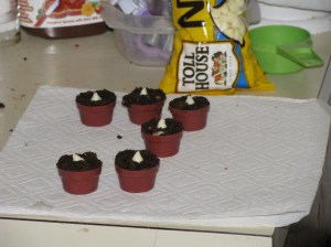 Chocolate dirt, enough said.