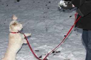 "I am so well trained!"