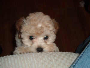 "You can start pouring, Mommy."