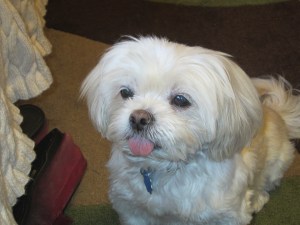 Butterfly was not feeling well.