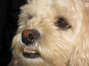 "You pee on the floor too, Mommy?"