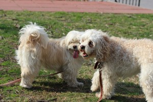 "Where should we pee?"