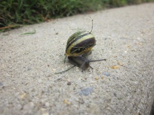 Me, trying to reach out.