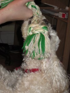 "You can't have it!"