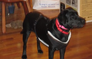 Lilah and her bling!