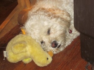 "Mommy, I don't feel good."