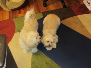 "What is that smell?"