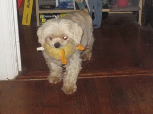 Butterfly understands. Sometimes ducky gets in the way of breathing too.