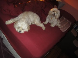 They were NOT this calm.