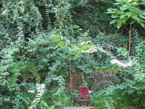 The birds are in there, somewhere.