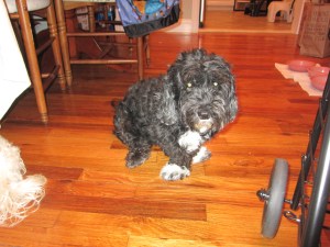 Zoe finally gets her moment in the spotlight!