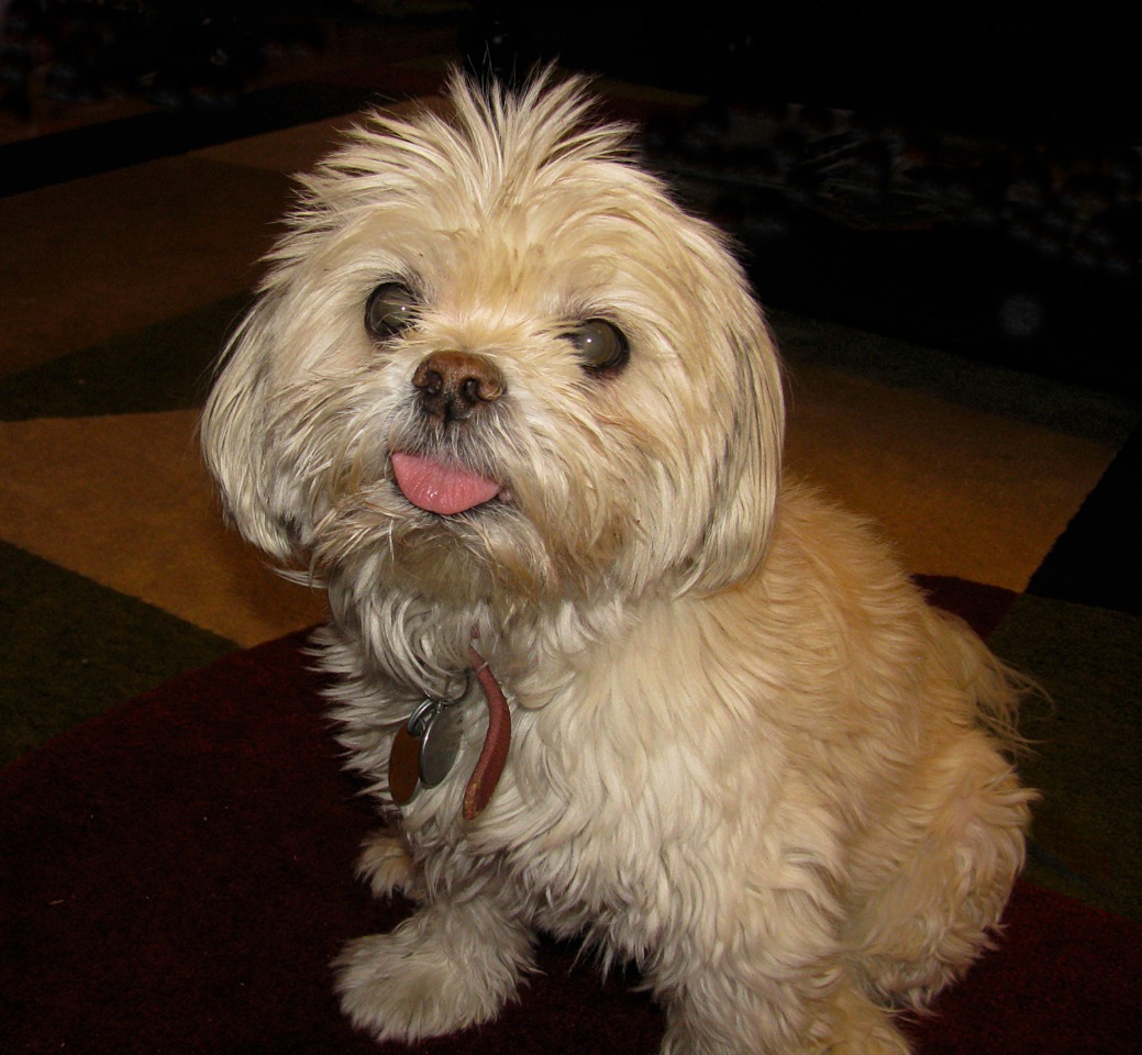 butterfy-with-hair-stand-up