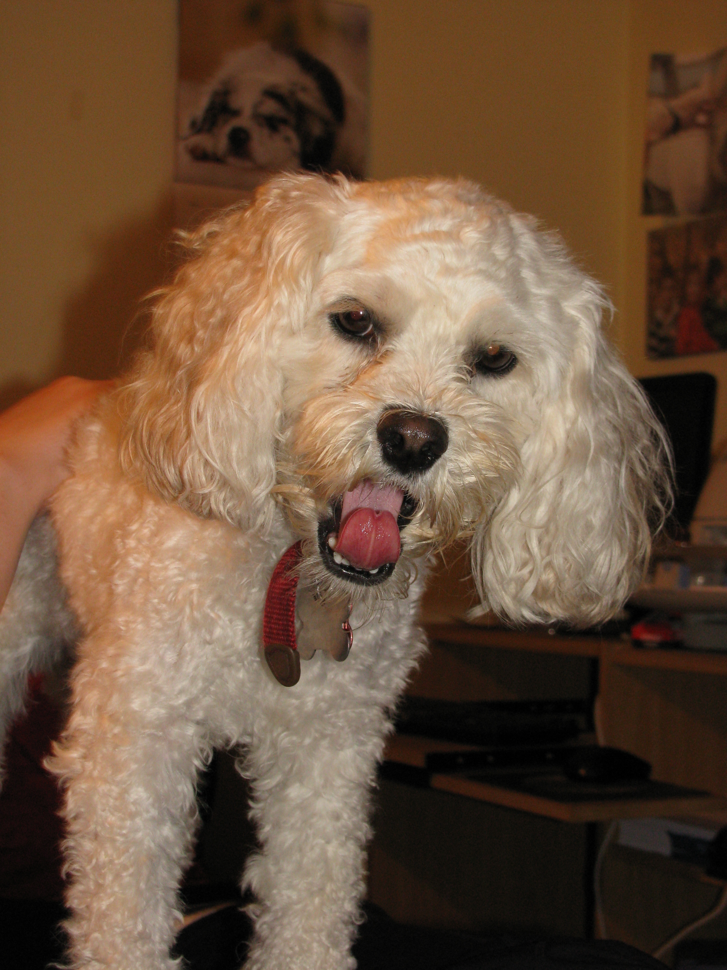 B - and I'm getting sleepy