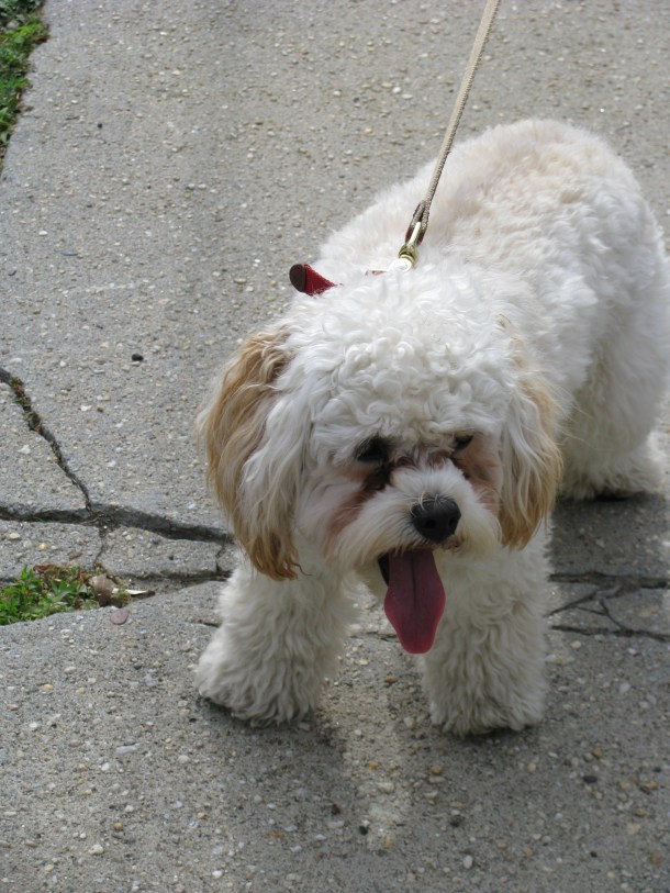 54 - wow, what's next